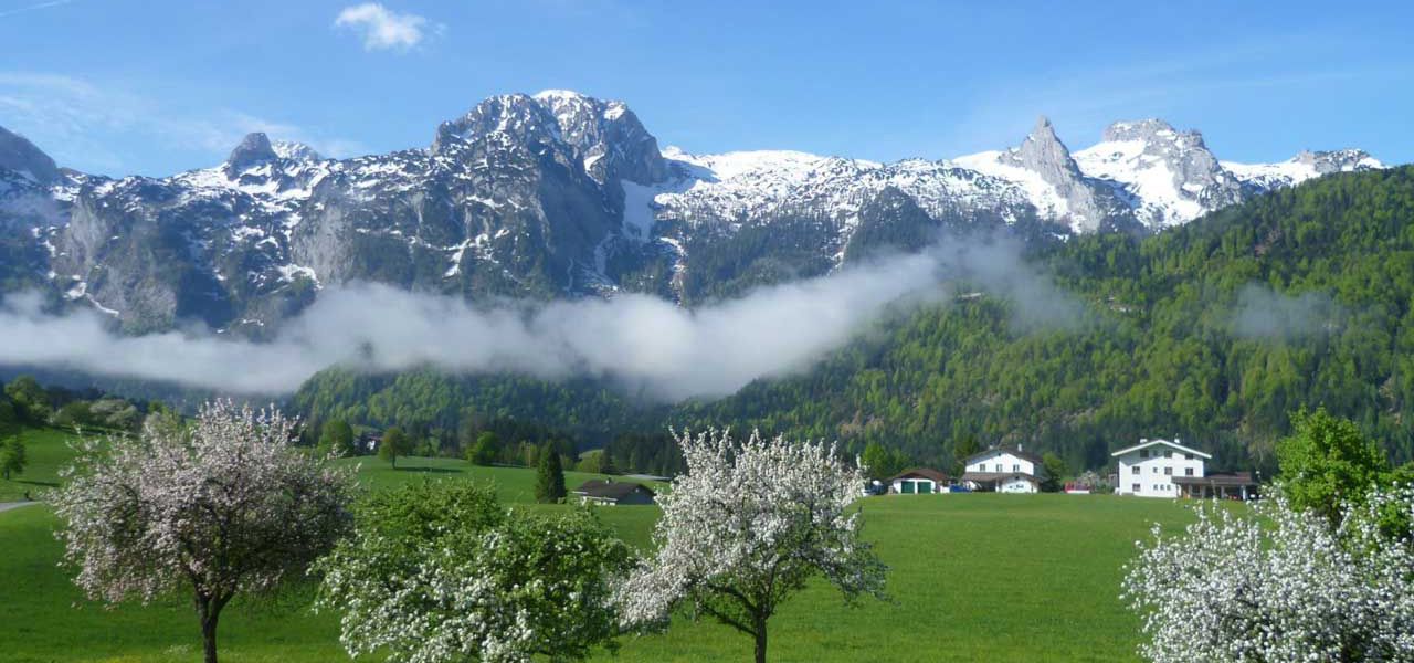 obweghof willlkommen ferienwohnungen ausblick